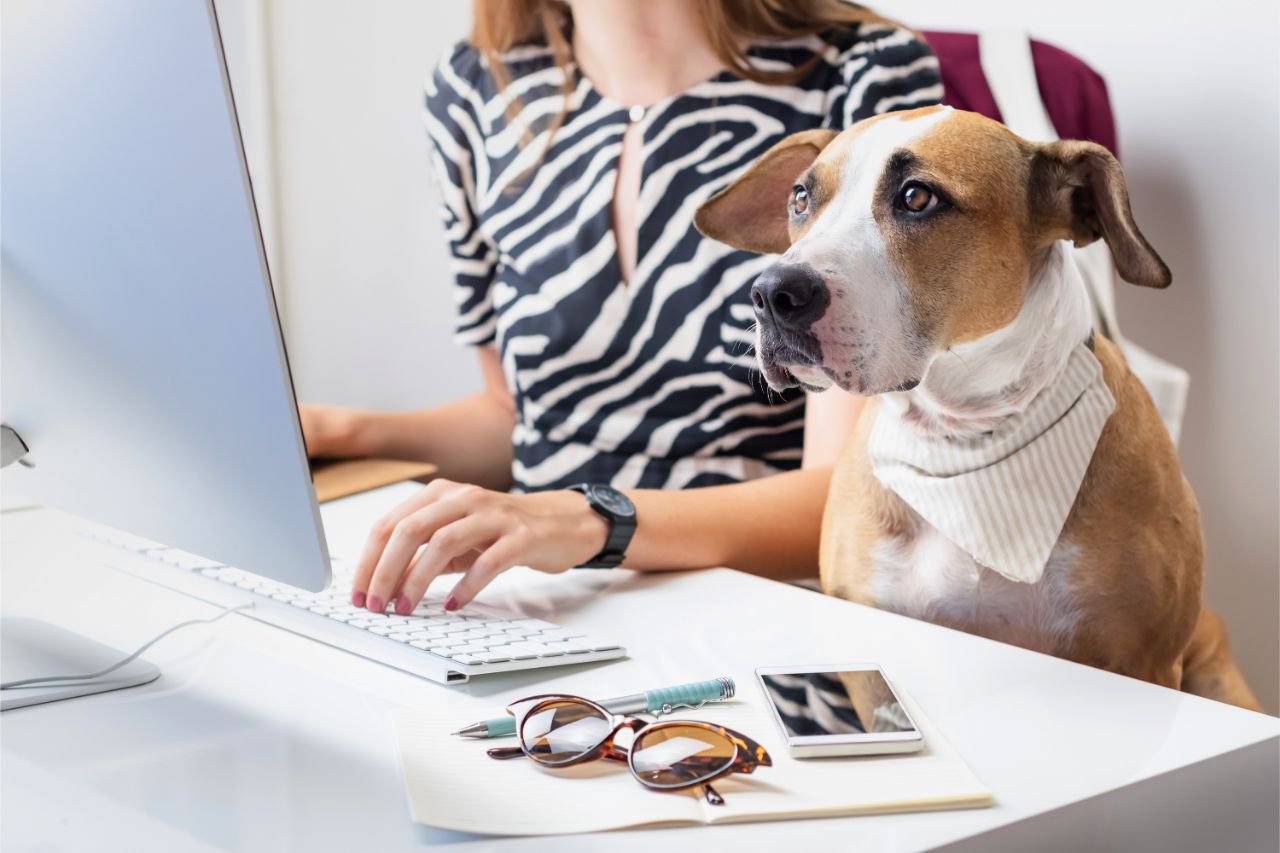 cute dog with female owner in front of a desk top computer in office